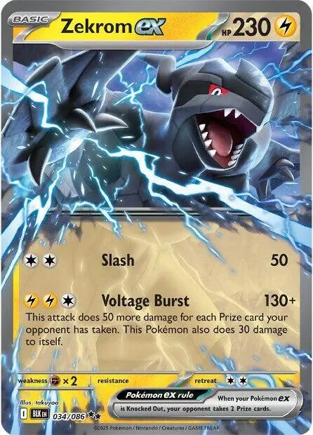 Zekrom ex card art