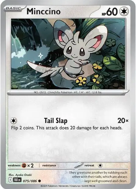 Minccino card art