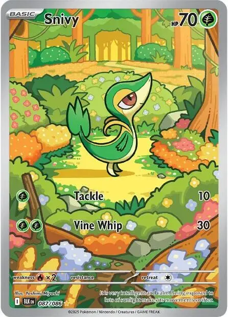 Snivy - 087/086 card art