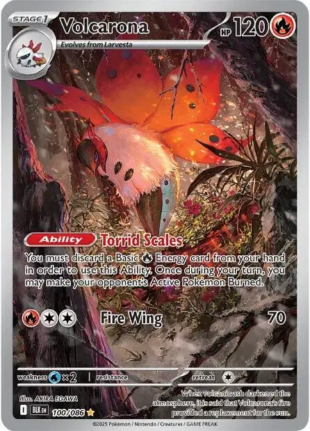 Volcarona - 100/086 card art