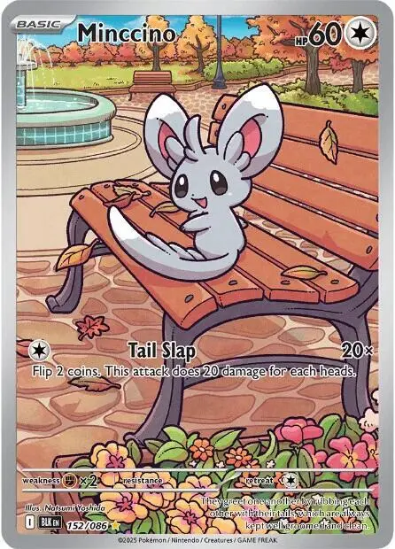 Minccino - 152/086 card art