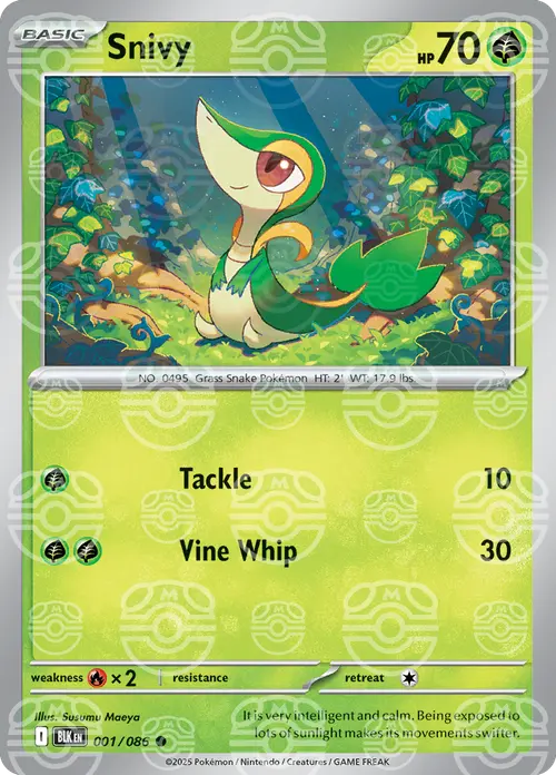 Snivy (Master Ball Pattern) card art