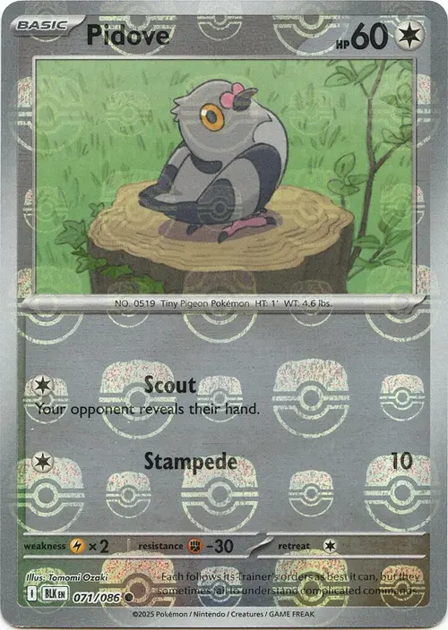 Pidove (Master Ball Pattern) card art