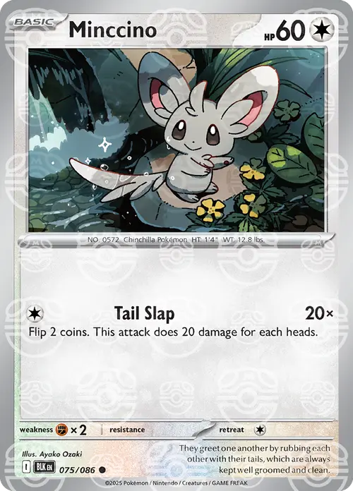 Minccino (Master Ball Pattern) card art