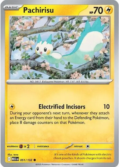 Pachirisu card art