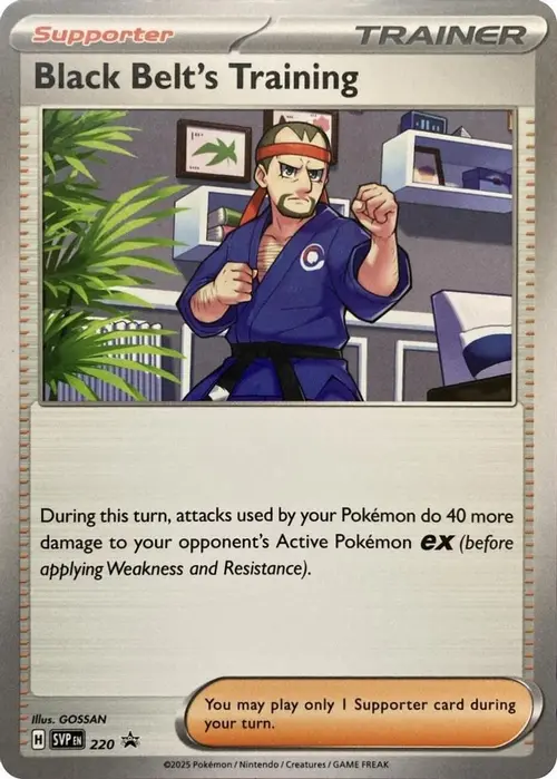 Black Belt's Training - 220 card art
