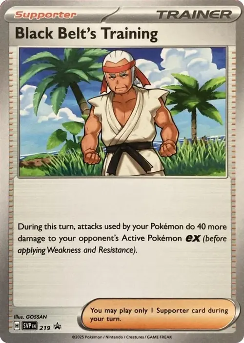 Black Belt's Training - 219 card art