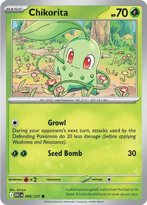 Chikorita card art