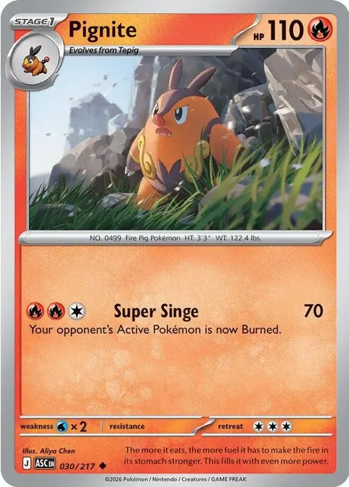 Pignite card art