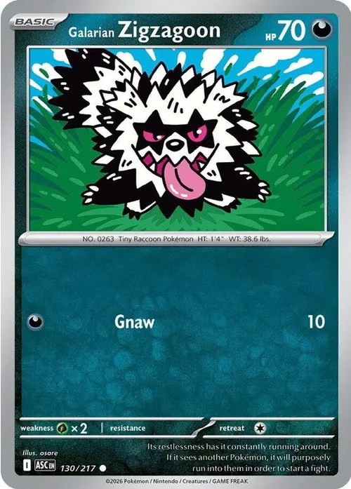 Galarian Zigzagoon card art