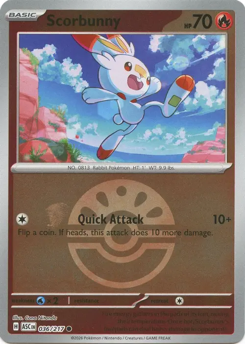 Scorbunny - 036/217 (Friend Ball) card art
