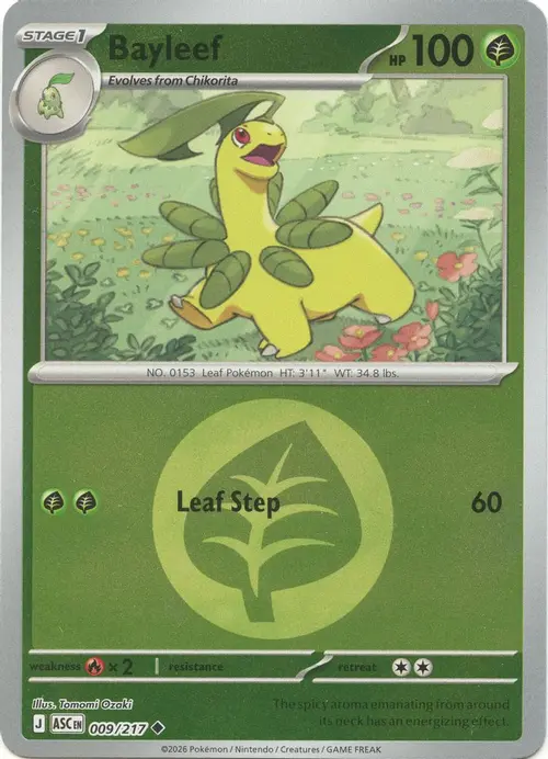 Bayleef (Energy Symbol Pattern) card art