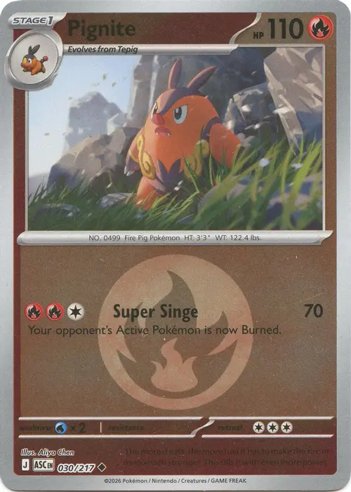 Pignite (Energy Symbol Pattern) card art