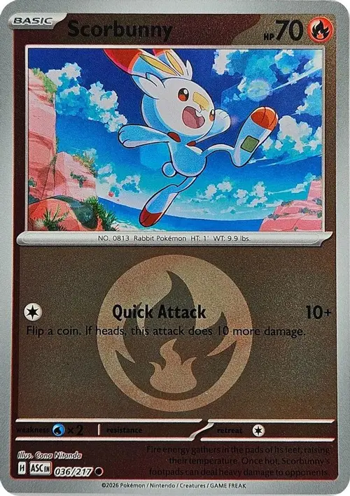 Scorbunny - 036/217 (Energy Symbol Pattern) card art