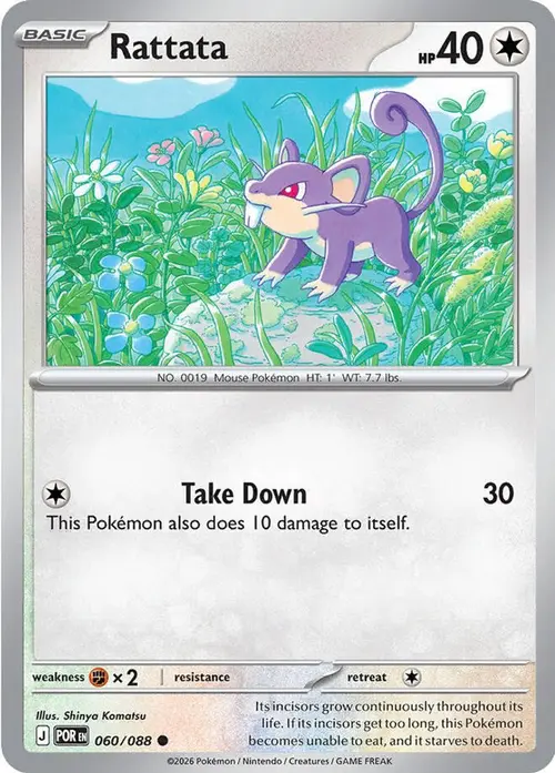 Rattata card art