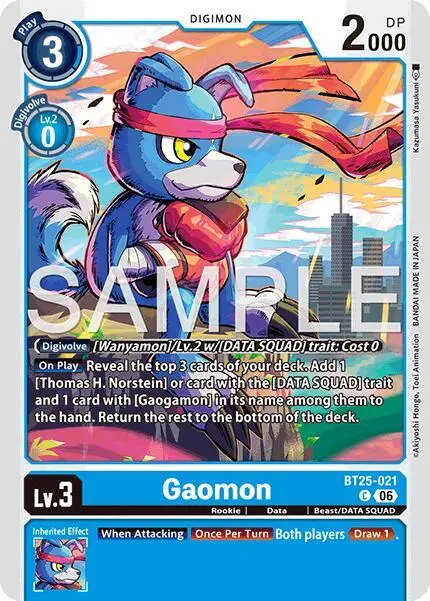 Gaomon card art