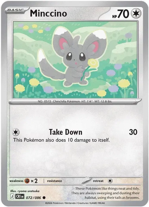Minccino card art