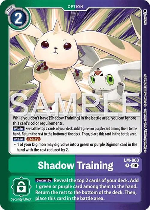 Shadow Training card art