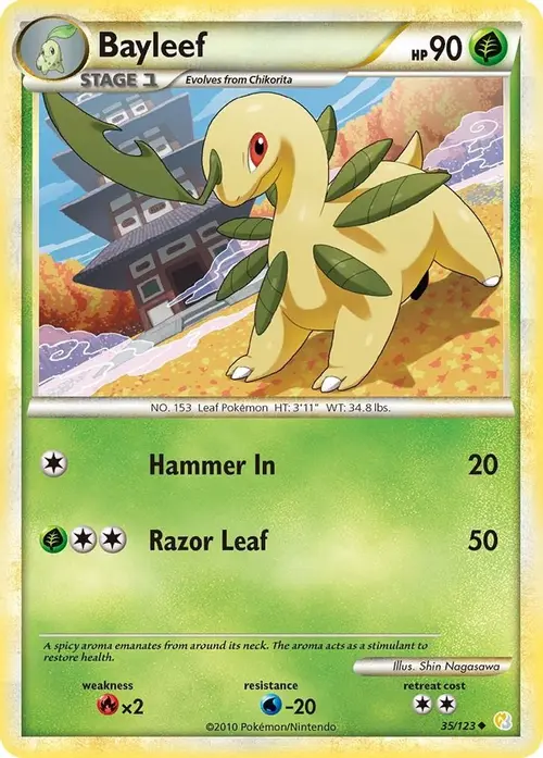 Bayleef card art
