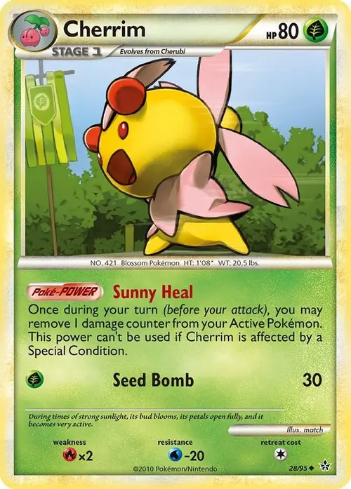 Cherrim card art