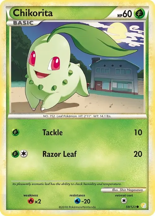 Chikorita card art