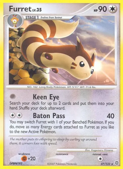 Furret card art