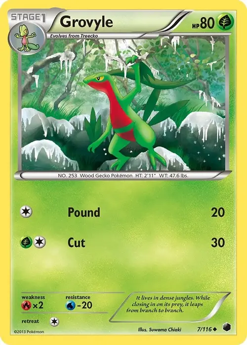 Grovyle card art