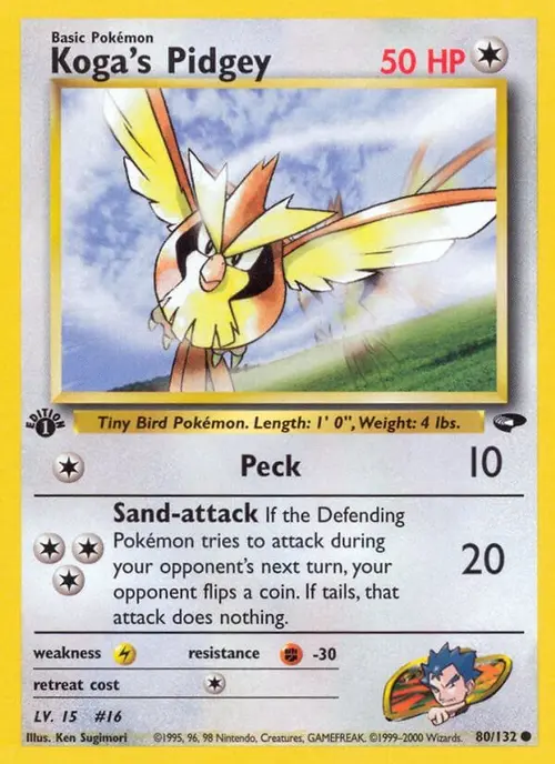 Koga's Pidgey (80) card art