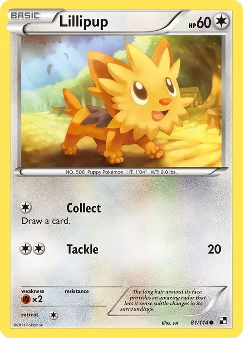 Lillipup (81) card art