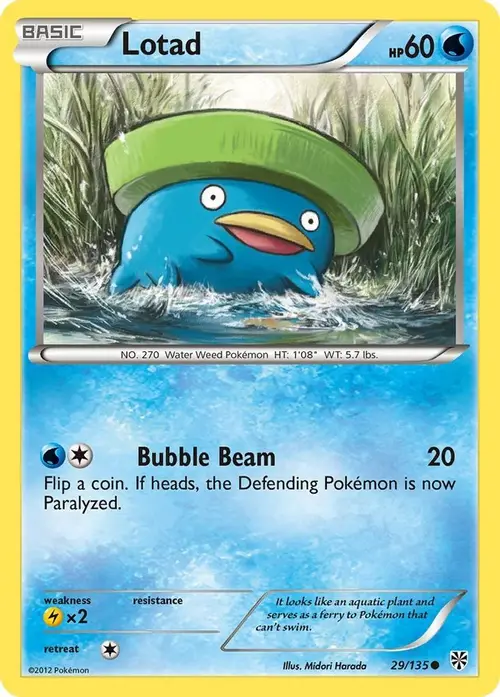 Lotad card art