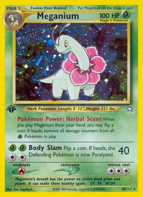 Meganium (10) card art