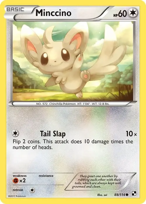 Minccino card art