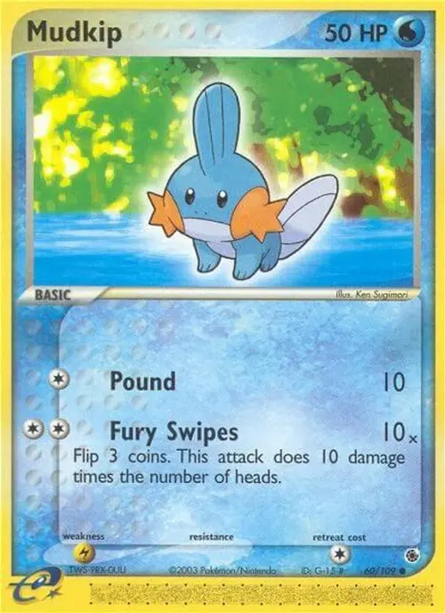 Mudkip - 60/109 card art
