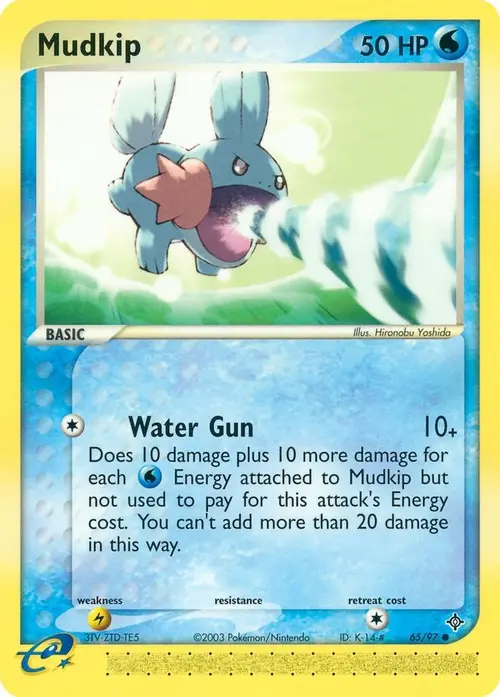Mudkip card art