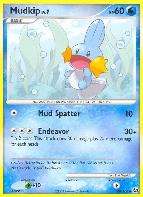 Mudkip card art