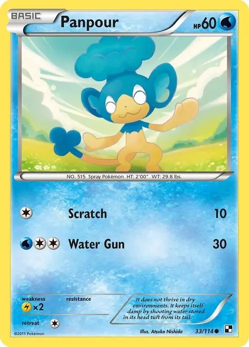 Panpour card art