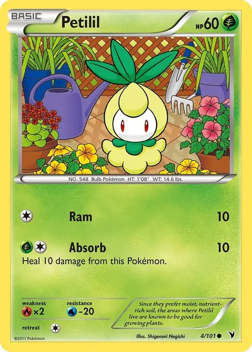 Petilil card art