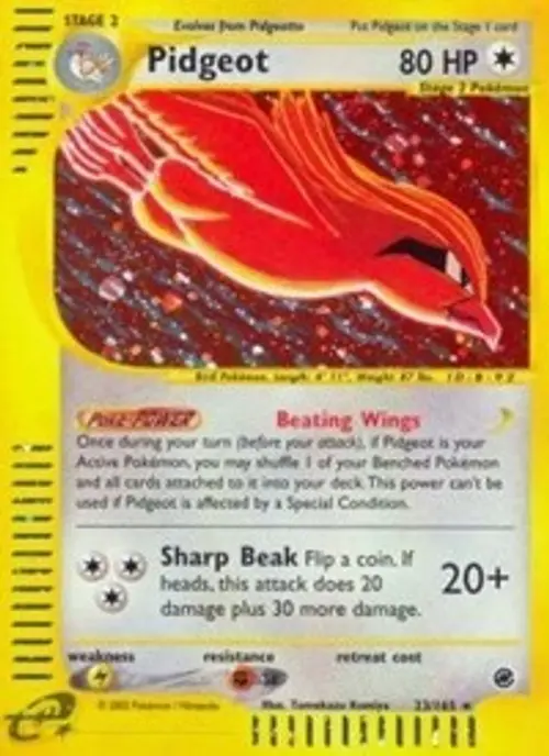 Pidgeot (23) card art
