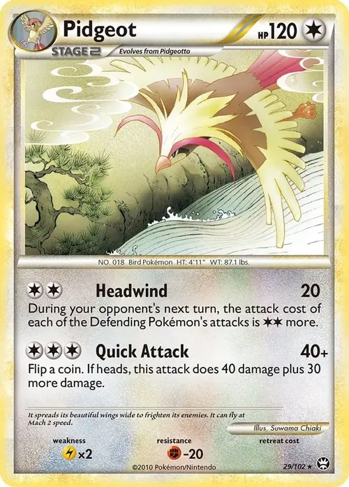 Pidgeot card art
