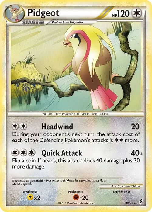 Pidgeot card art