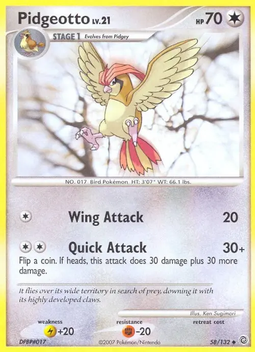Pidgeotto card art