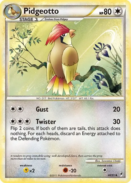 Pidgeotto card art