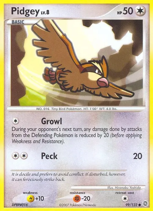 Pidgey card art