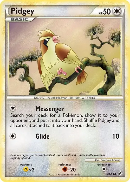 Pidgey card art