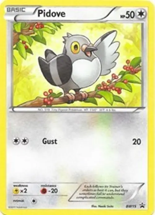 Pidove - BW15 card art