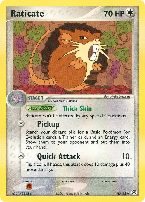 Raticate card art