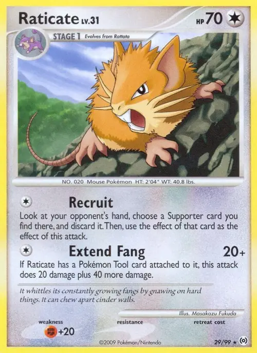 Raticate card art