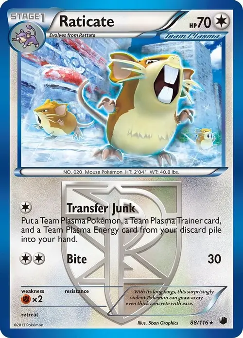 Raticate (Team Plasma) card art