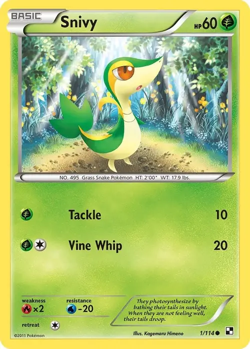 Snivy (1) card art