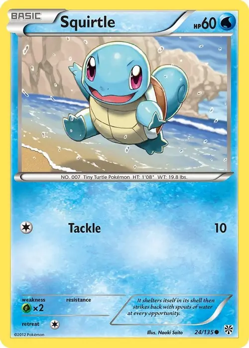 Squirtle card art